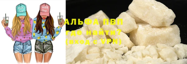 ГАЛЛЮЦИНОГЕННЫЕ ГРИБЫ Валдай