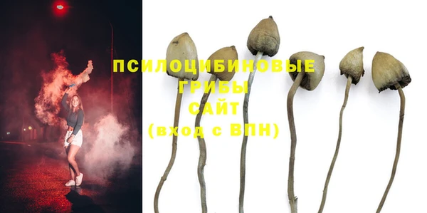 spice Болотное