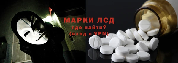 spice Болотное