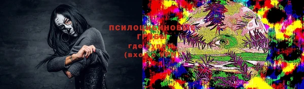 spice Болотное
