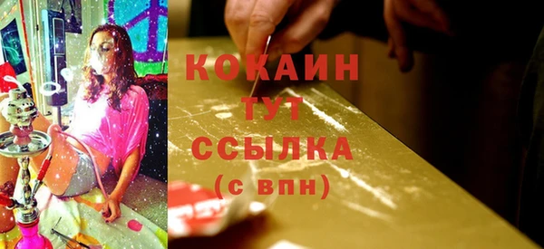 ГАЛЛЮЦИНОГЕННЫЕ ГРИБЫ Валдай
