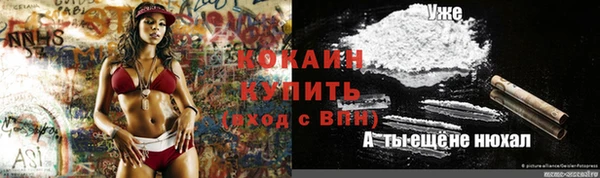 spice Болотное