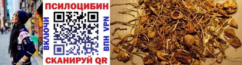 Галлюциногенные грибы мухоморы  Ельня 
